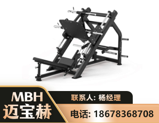 南宁45°倒蹬训练器